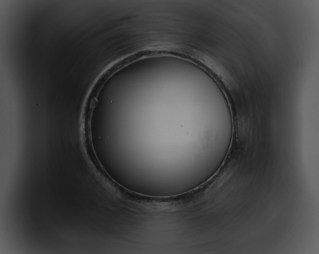 X0000099990976200806061541