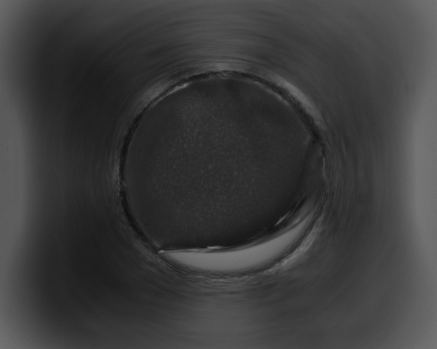 X0000099990977200806061541