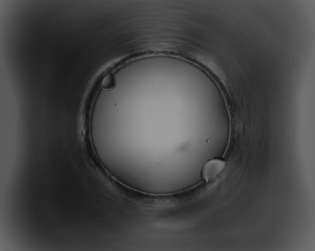 X0000099990979200806061541