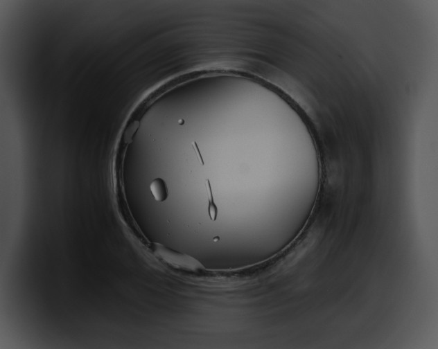 X0000099990980200806061541