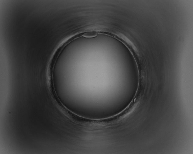 X0000099990981200806061541