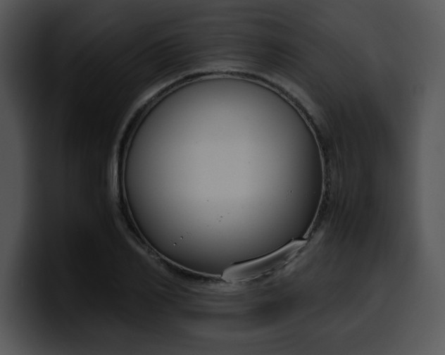 X0000099990982200806061541