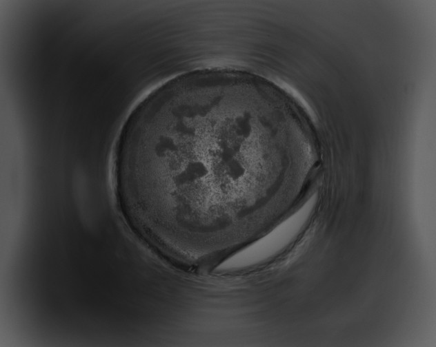 X0000099990983200806061541