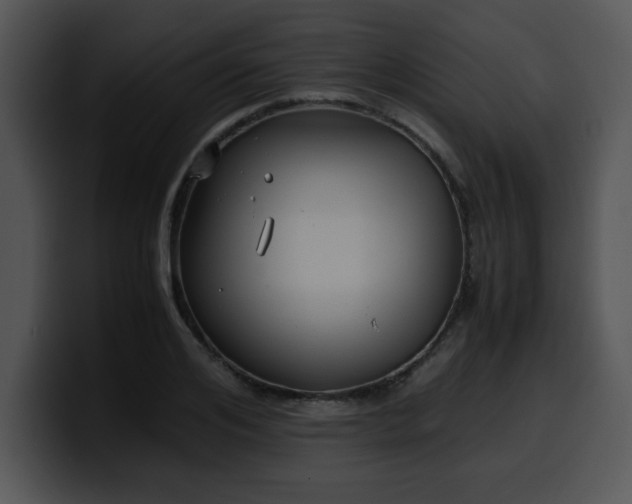 X0000099990984200806061541