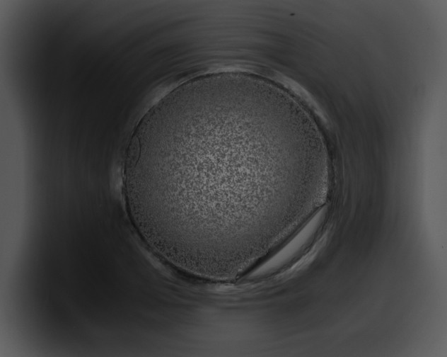 X0000099990985200806061541