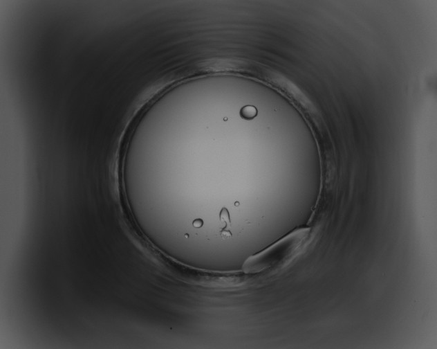 X0000099990986200806061541