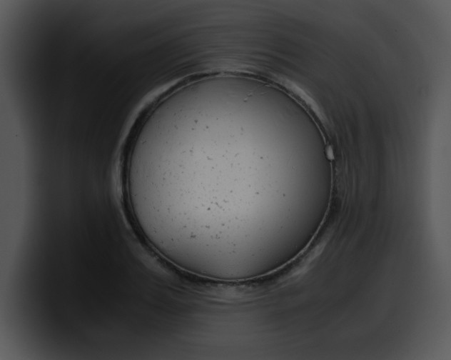 X0000099990987200806061541