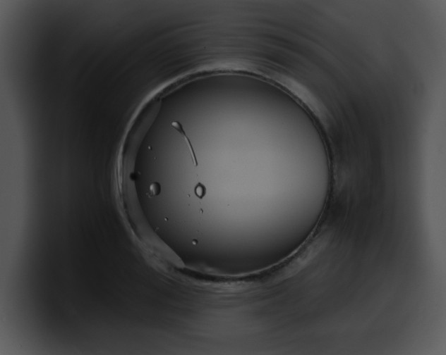 X0000099990988200806061541