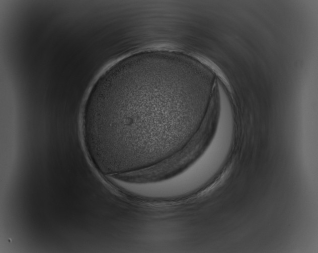 X0000099990989200806061541