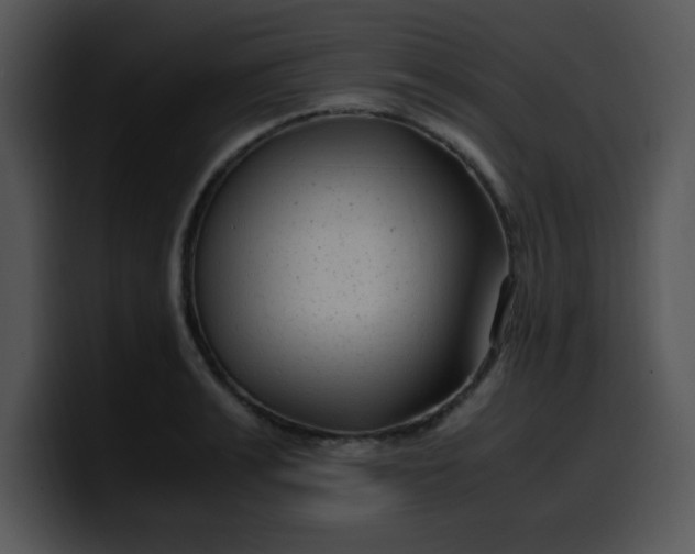 X0000099990991200806061541