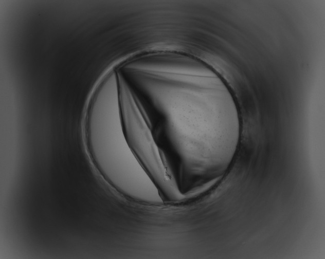 X0000099990992200806061541