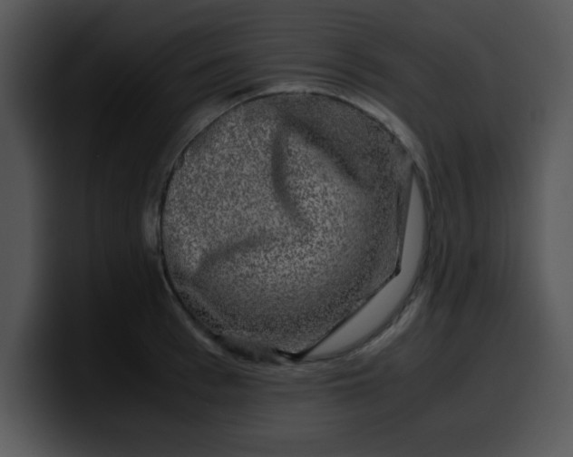 X0000099990993200806061540