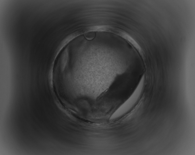 X0000099990994200806061540