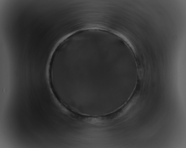 X0000099990995200806061540