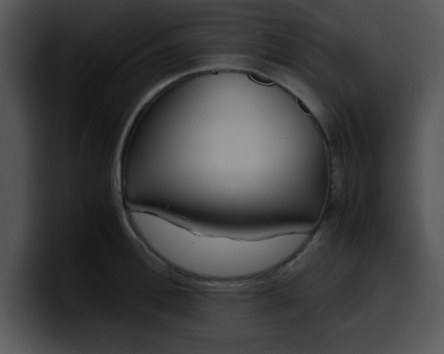 X0000099990996200806061540