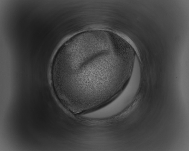 X0000099990997200806061540