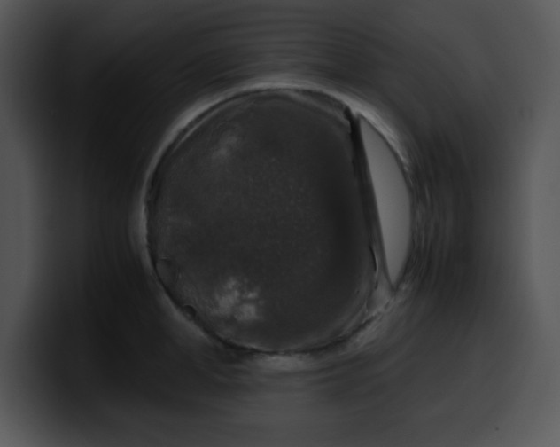 X0000099990998200806061540