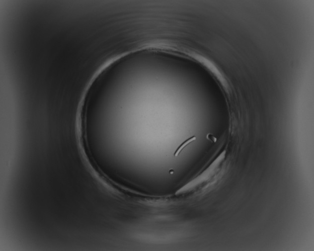 X0000099990999200806061540