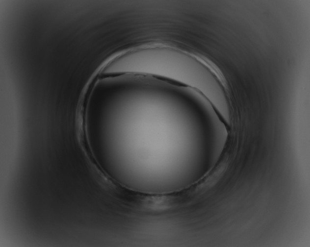 X0000099991000200806061540