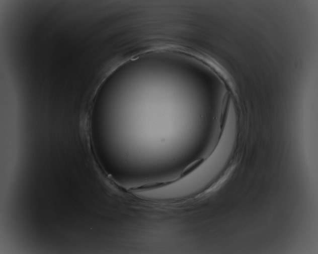 X0000099991001200806061540