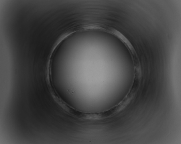 X0000099991002200806061540