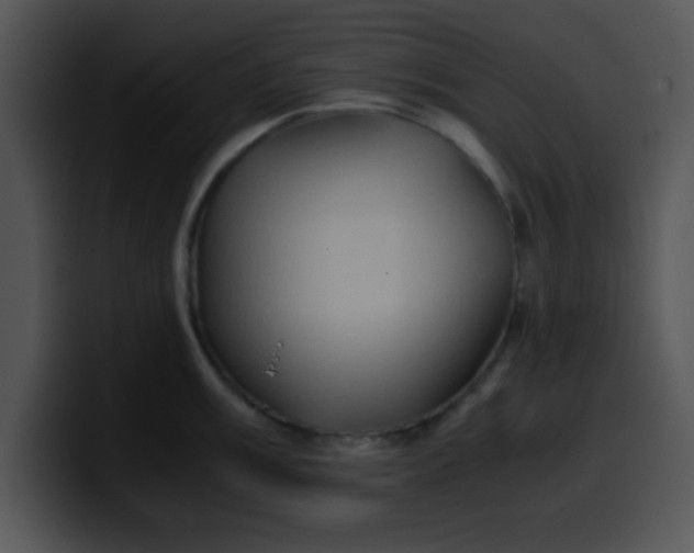 X0000099991003200806061540