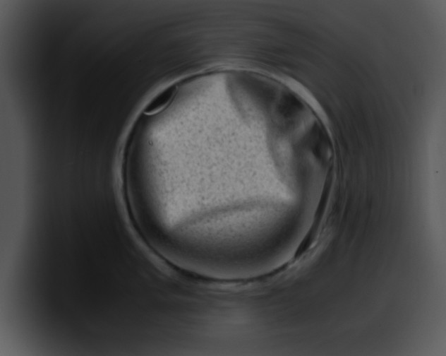 X0000099991005200806061540