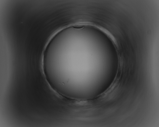 X0000099991006200806061540