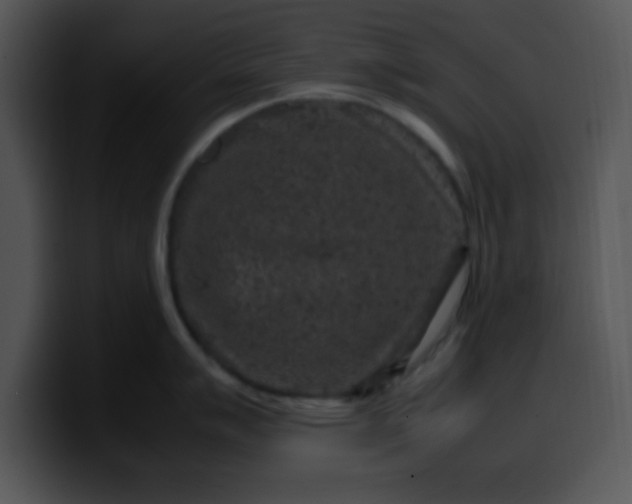 X0000099991007200806061540