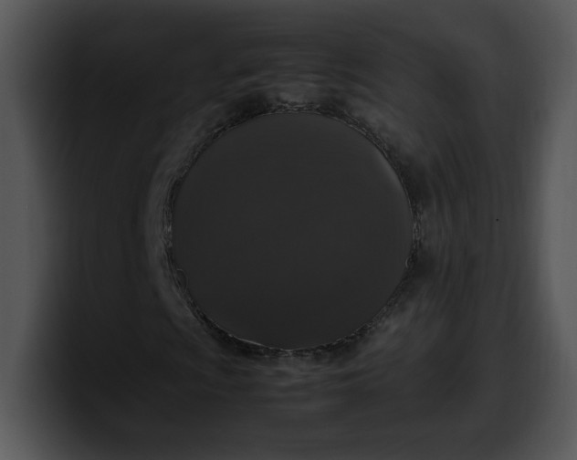 X0000099991009200806061540