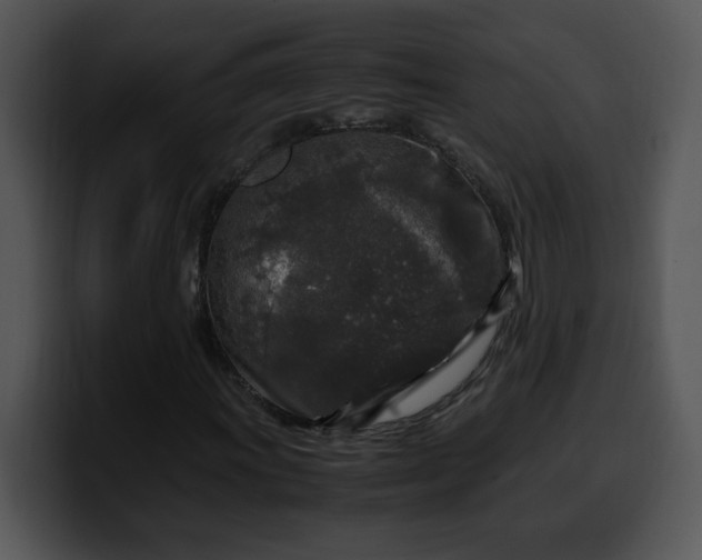 X0000099991011200806061540