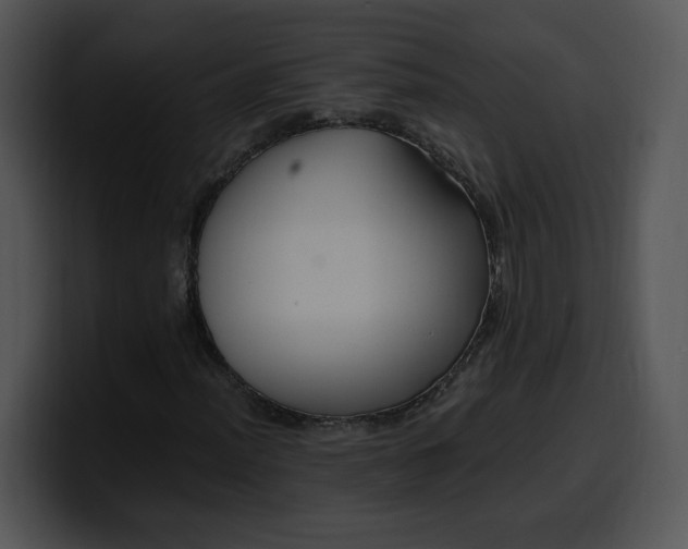 X0000099991012200806061540