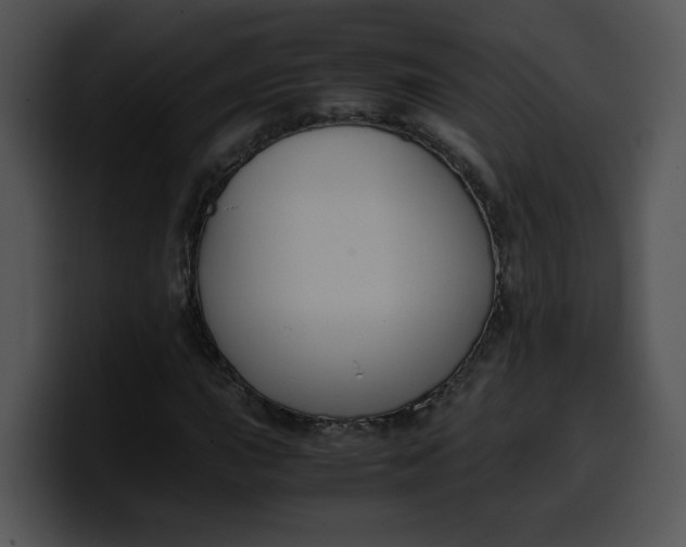 X0000099991015200806061540