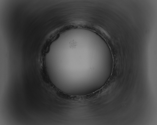 X0000099991016200806061540