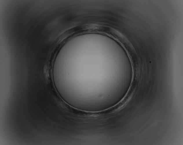 X0000099991017200806061540