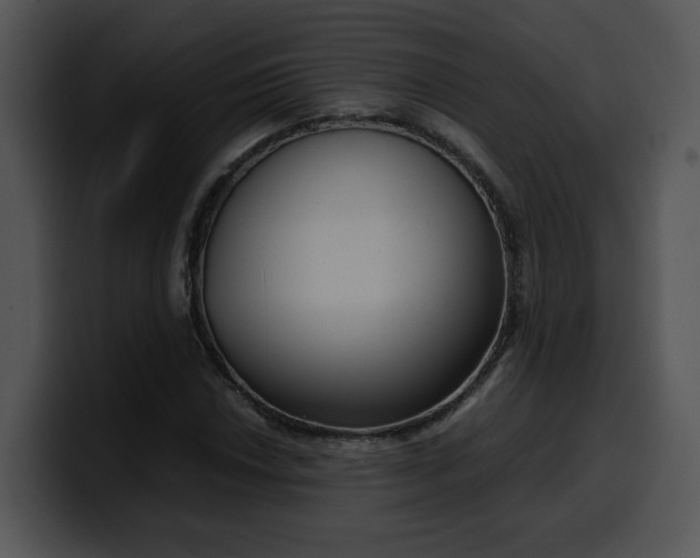 X0000099991018200806061540