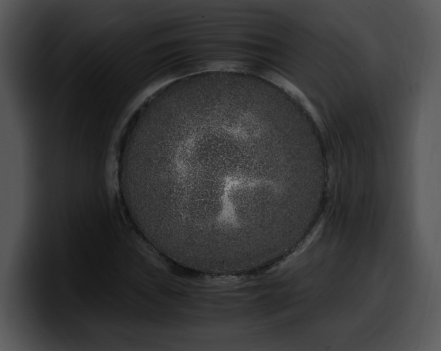 X0000099991019200806061540