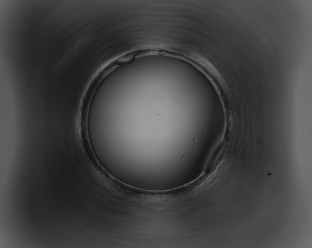 X0000099991020200806061540