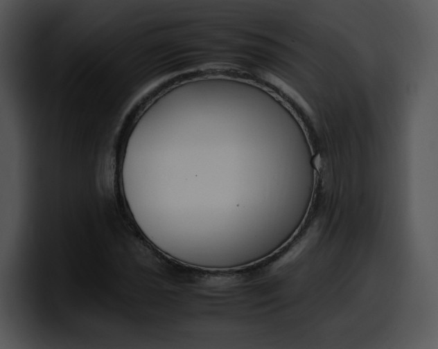 X0000099991021200806061540