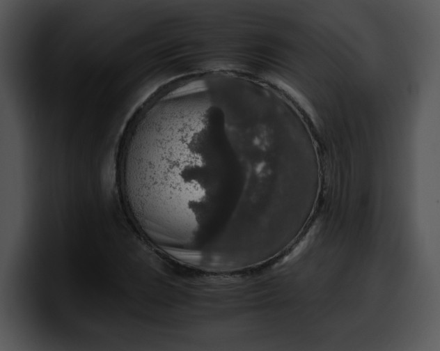 X0000099991023200806061540