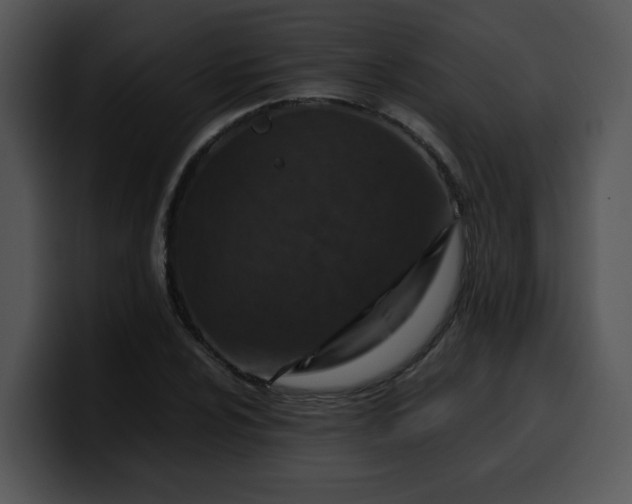 X0000099991024200806061540