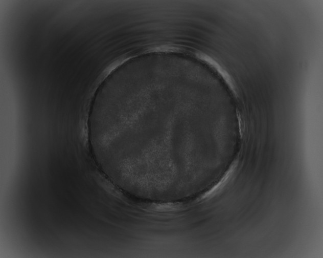 X0000099991025200806061540