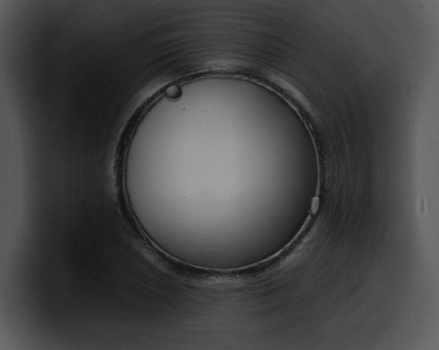 X0000099991026200806061540