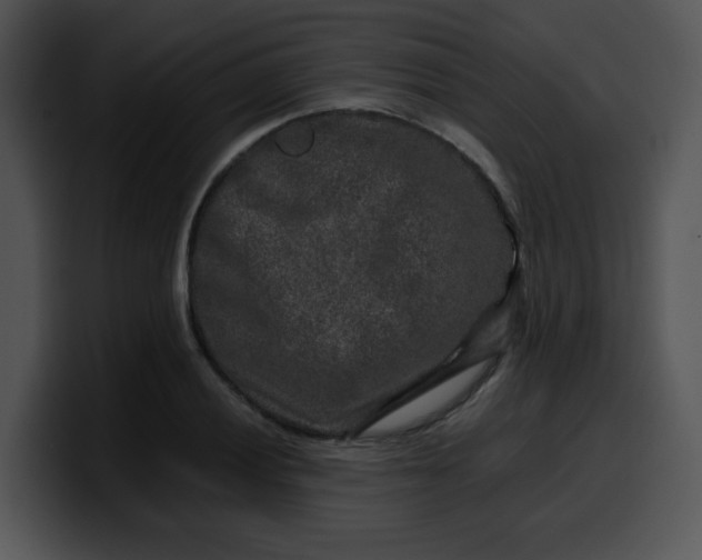 X0000099991028200806061540