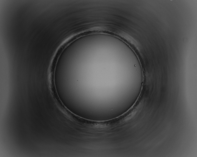 X0000099991029200806061540