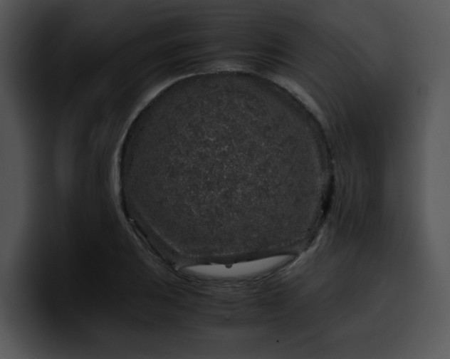 X0000099991031200806061540