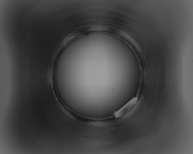 X0000099991033200806061540