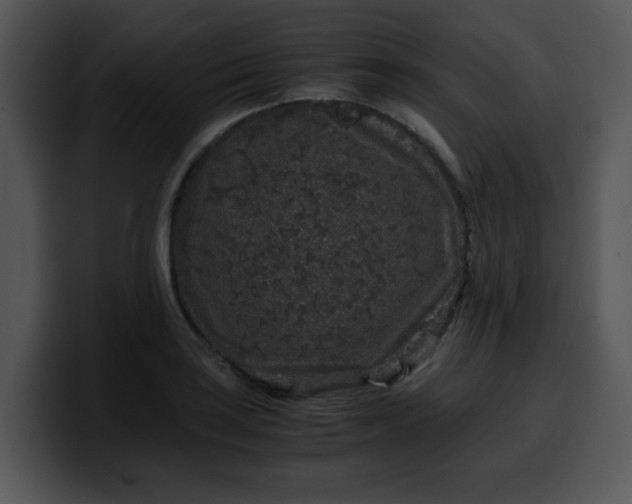 X0000099991035200806061540