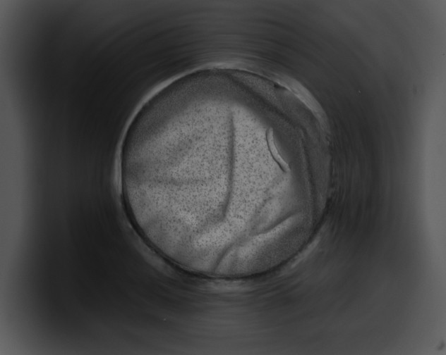 X0000099991036200806061540