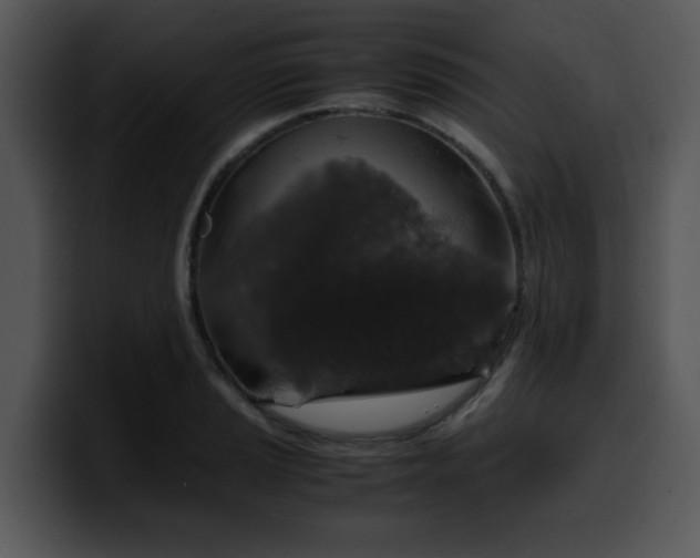 X0000099991037200806061540